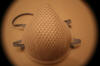 N95 Moldex 2200 Raleigh Durham Medical Face Mask